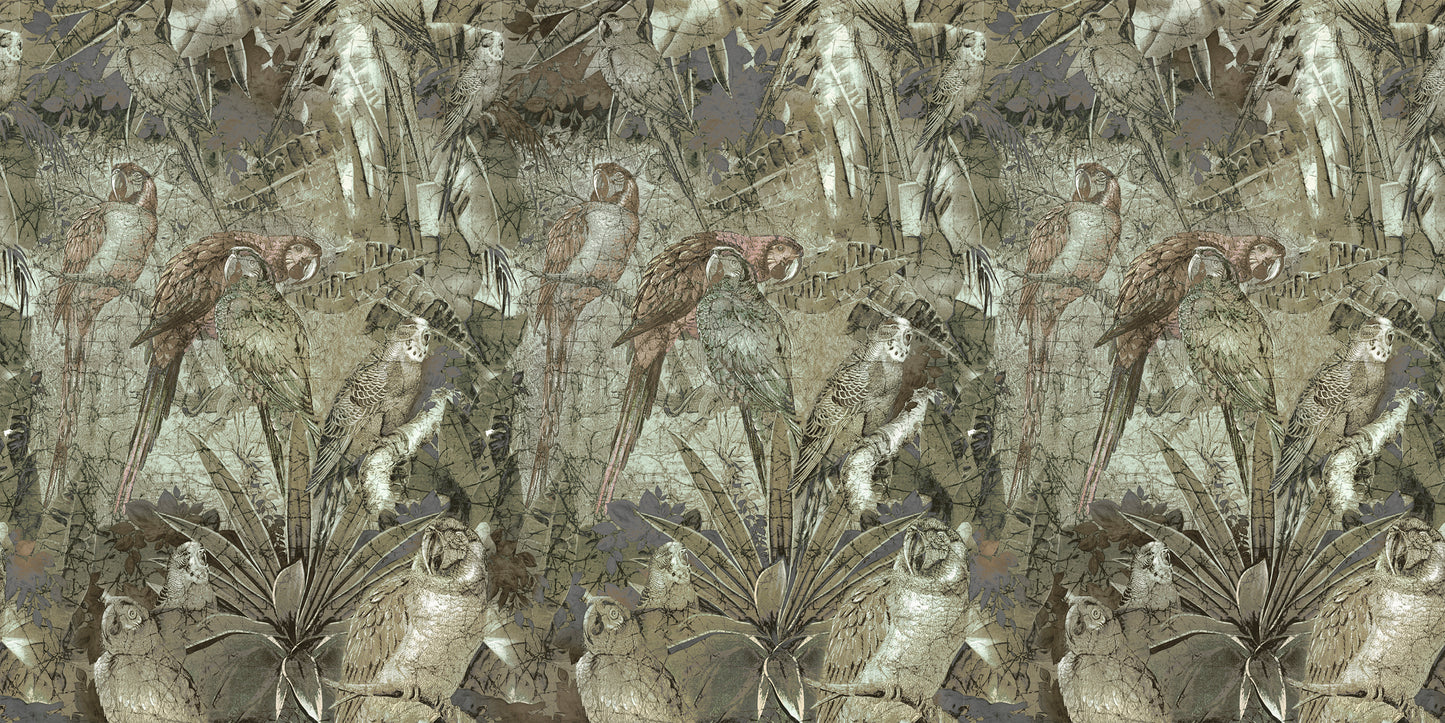 TAPETA GRAFITE AMAZZONICA SE34481/SE34481-C/SE34481-C1