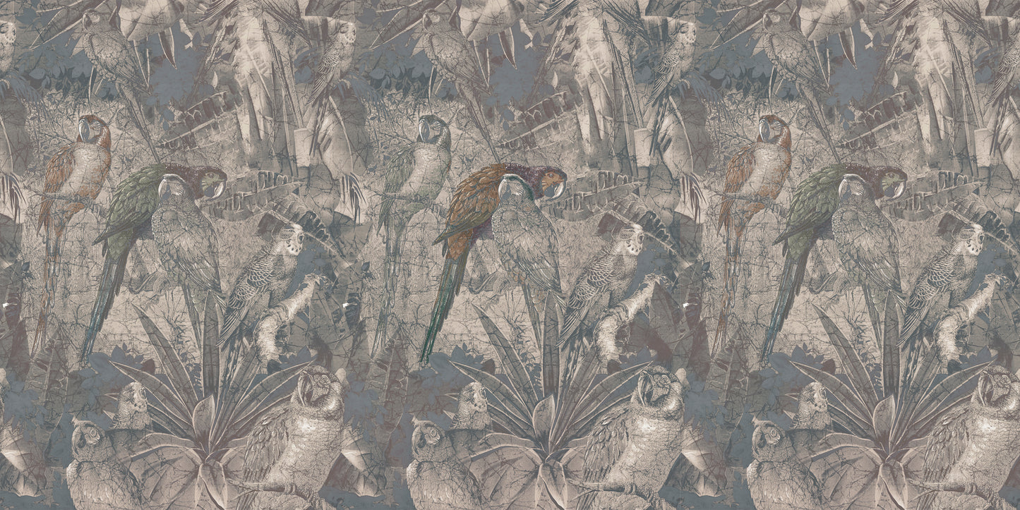 TAPETA GRAFITE AMAZZONICA SE34481/SE34481-C/SE34481-C1